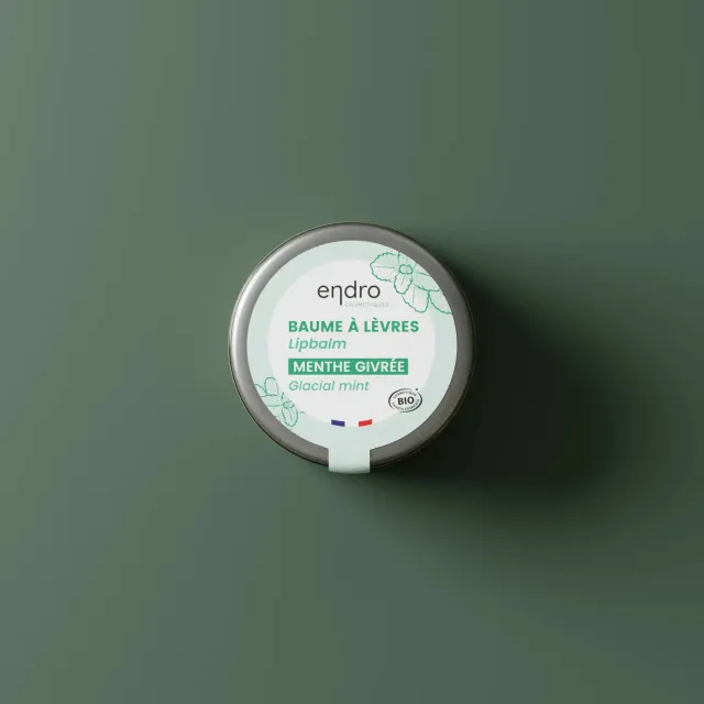 Endro Lippenbalsam Minze 15 ml Bio reparierend