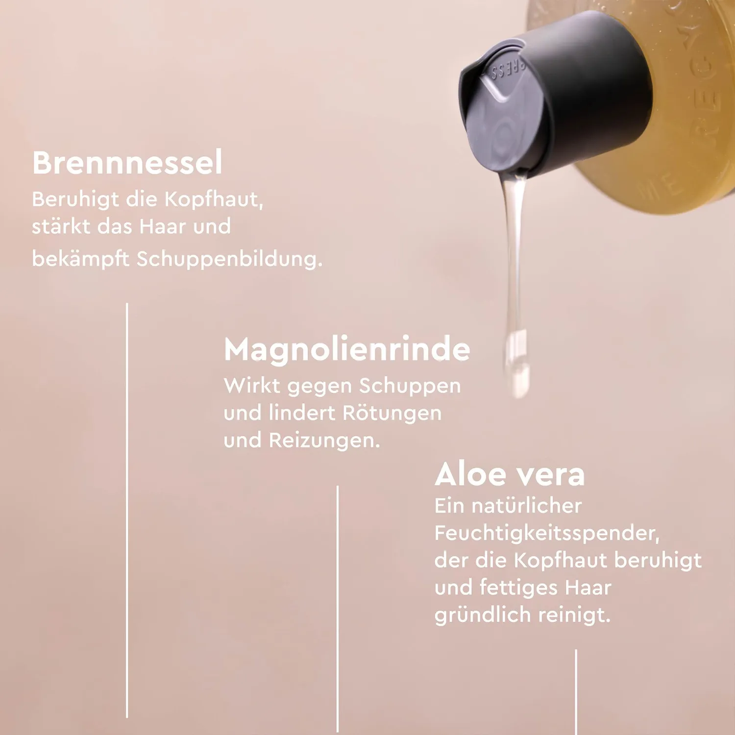 Urtekram Brennnessel Shampoo trockene Kopfhaut 250 ml Bio