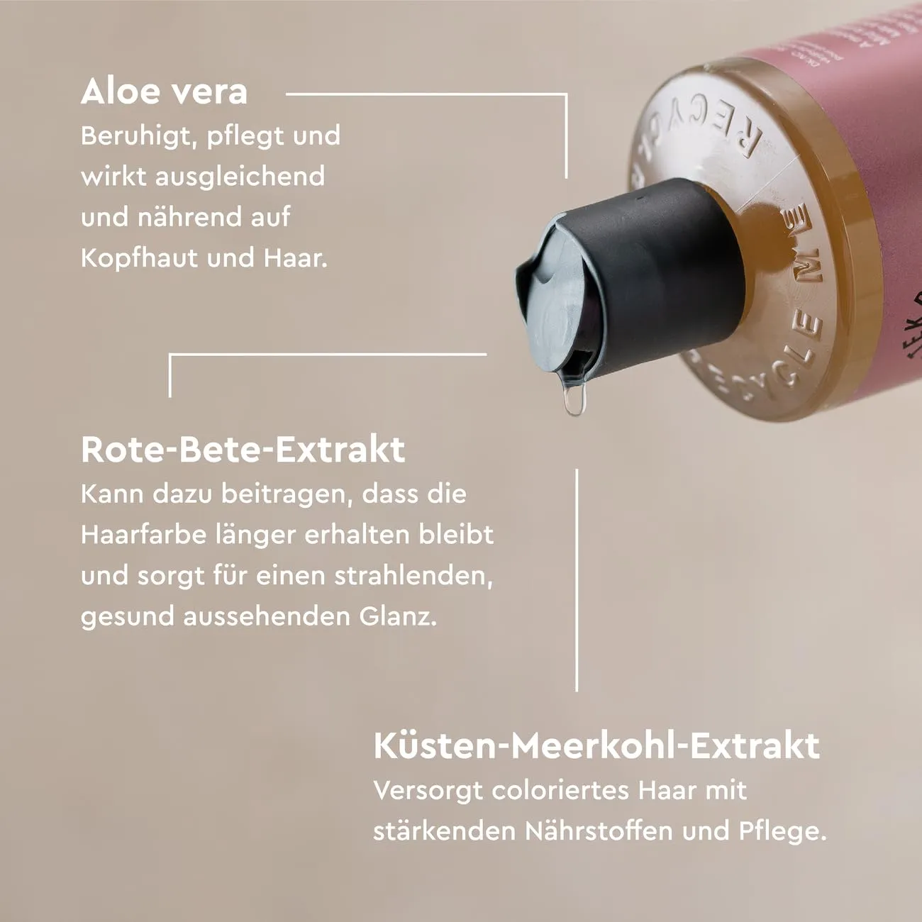Urtekram Soft Wild Rose Shampoo 250 ml gefärbtes Haar
