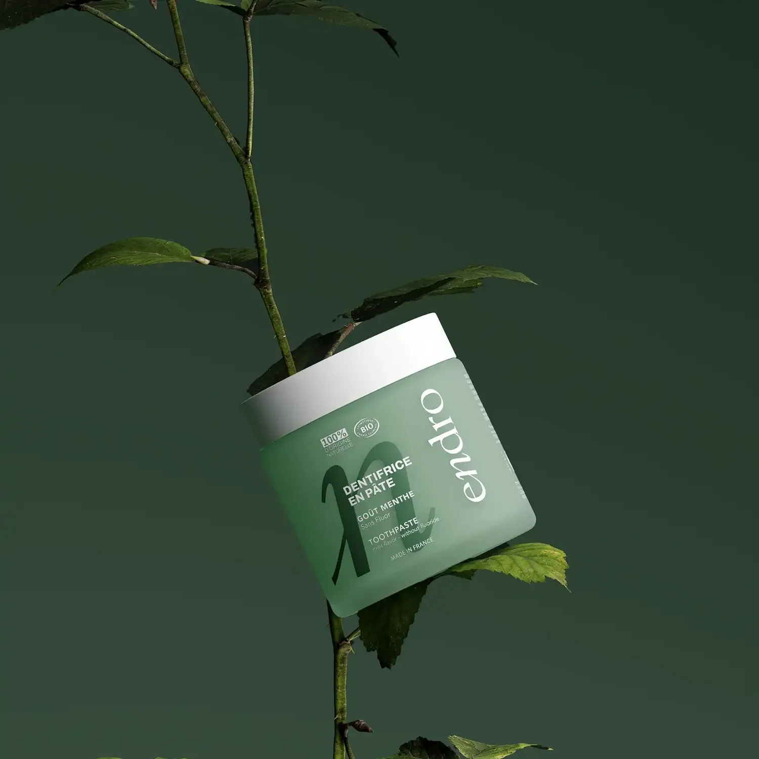 Endro Menthe Zahnpasta Paste Minze