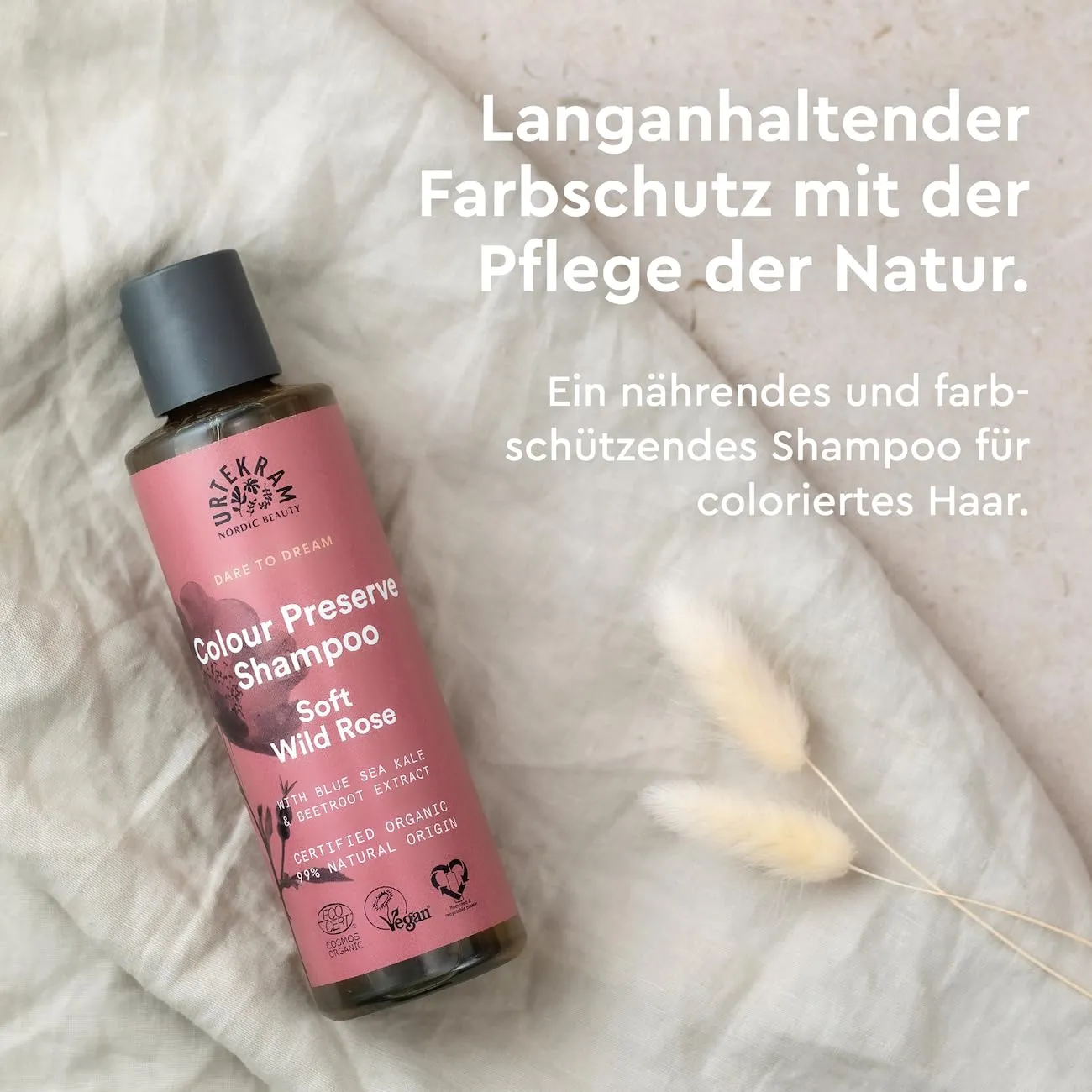 Urtekram Soft Wild Rose Shampoo 250 ml gefärbtes Haar